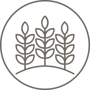 agricultural-development-icon
