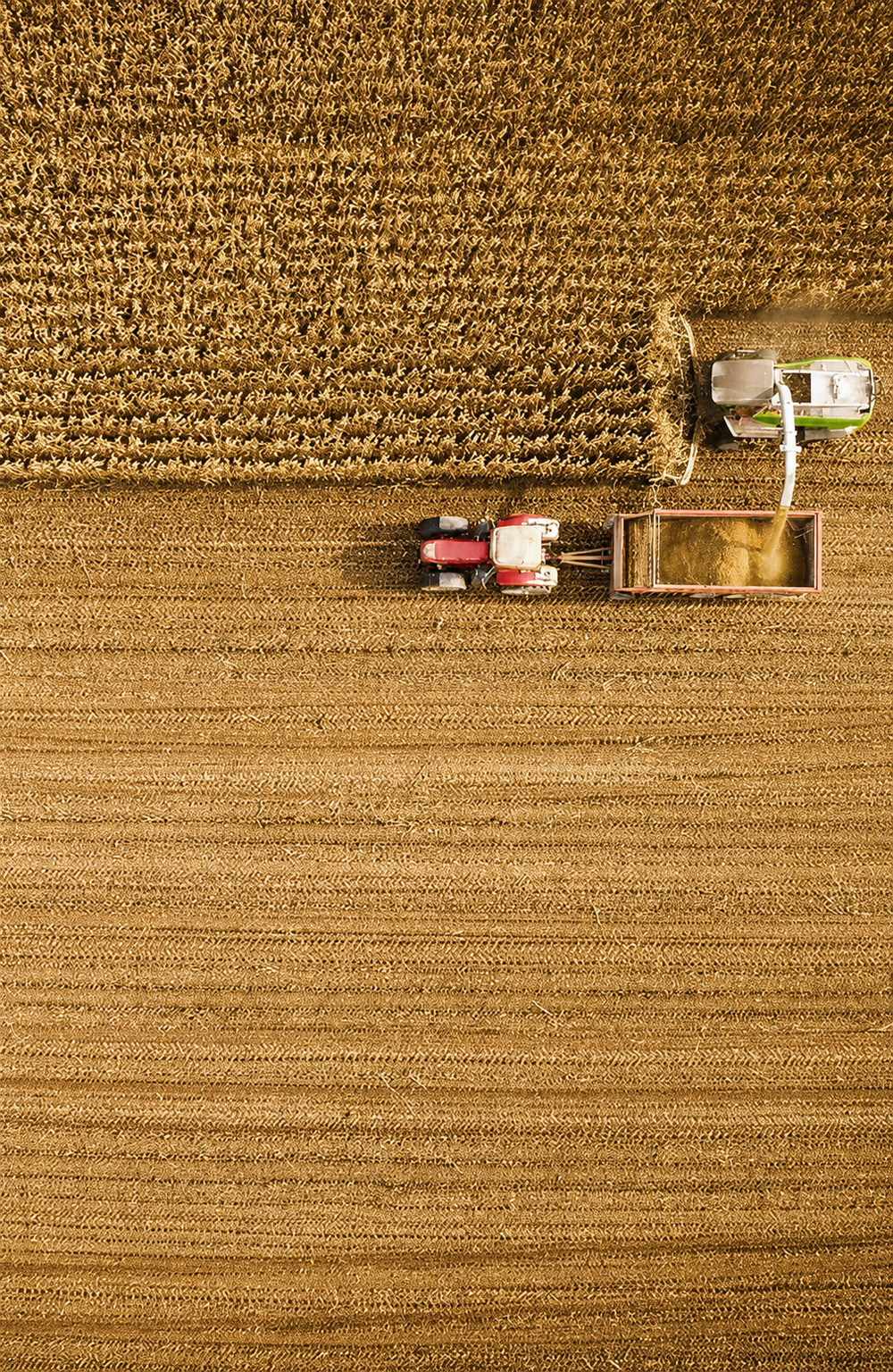 harvesting
